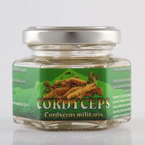 Izgled proizvoda Cordyceps (ljekovitih gljiva) od 50 grama u staklenci.